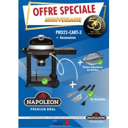 Embale o Barbecue Chariot Napoléon PRO57 com carvão