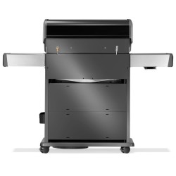 Barbecue gaz Napoleon Rogue® PRO-S 525 RSIB SIZZLE ZONE™  brûleur latéral et arrière