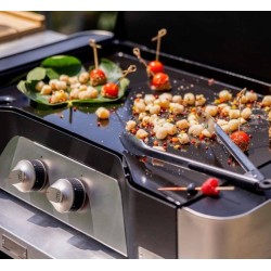 Esclusiva plancha a gas 260 DUO L 78 x P 49 cm Le Marquier