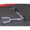Post hiper extensão 45 ° GHYP345 corpo-Solid