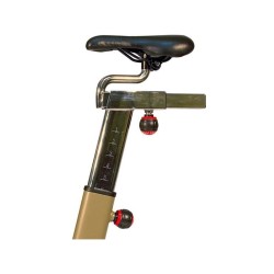 Bike de spinning BFSB5 de melhor Fitness