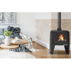 Estufa de Leña de Hierro Fundido Paul Haut Supra 10kW
