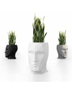 Objects of decoration and garden statues