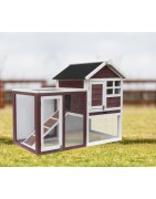 Poulailler de Jardin