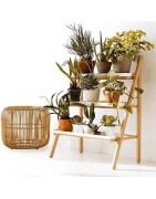 Neveras y congeladores