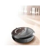 Putzen, Saugen und Bügeln